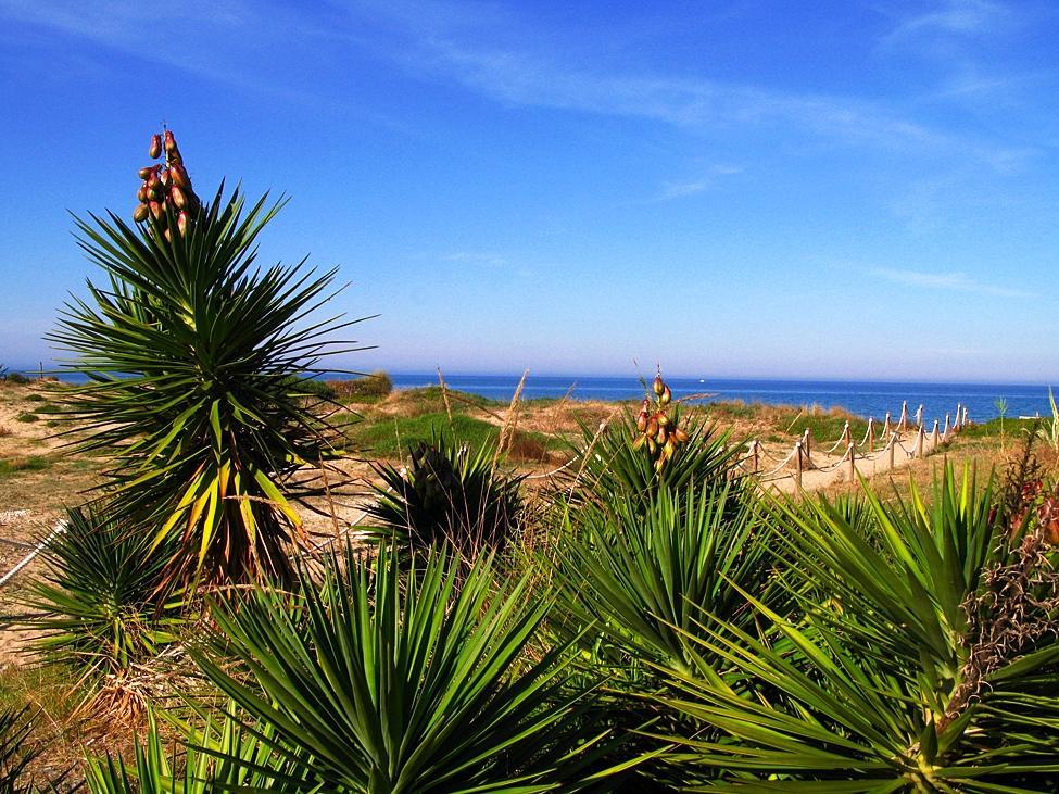 Camping Los Llanos دينايا المظهر الخارجي الصورة